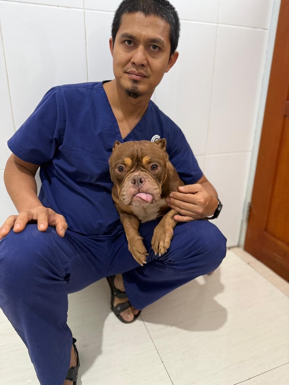 Dr Kadek Arnawa, veterinary partner at Central Vet
