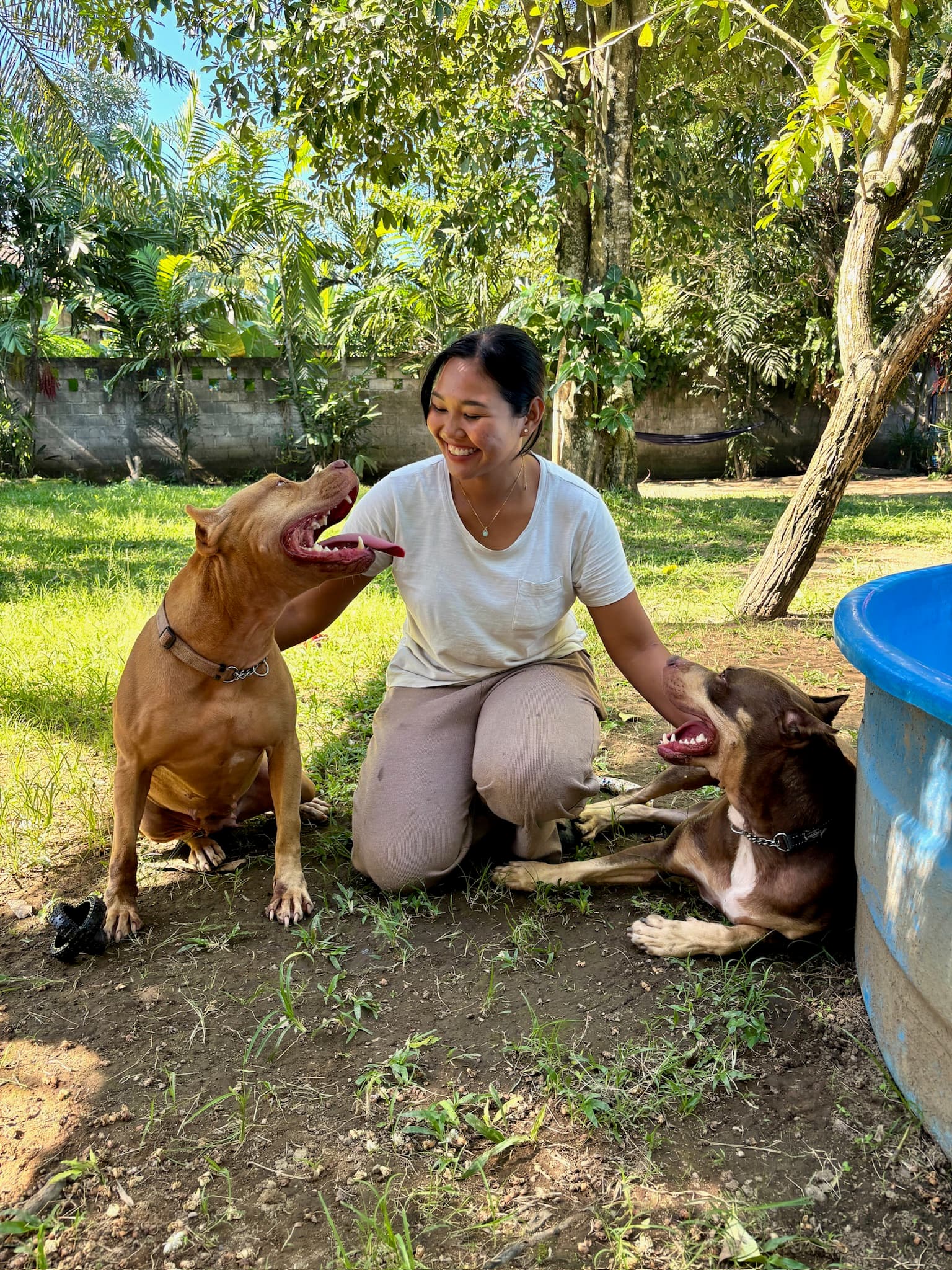 Tia, Dog carer