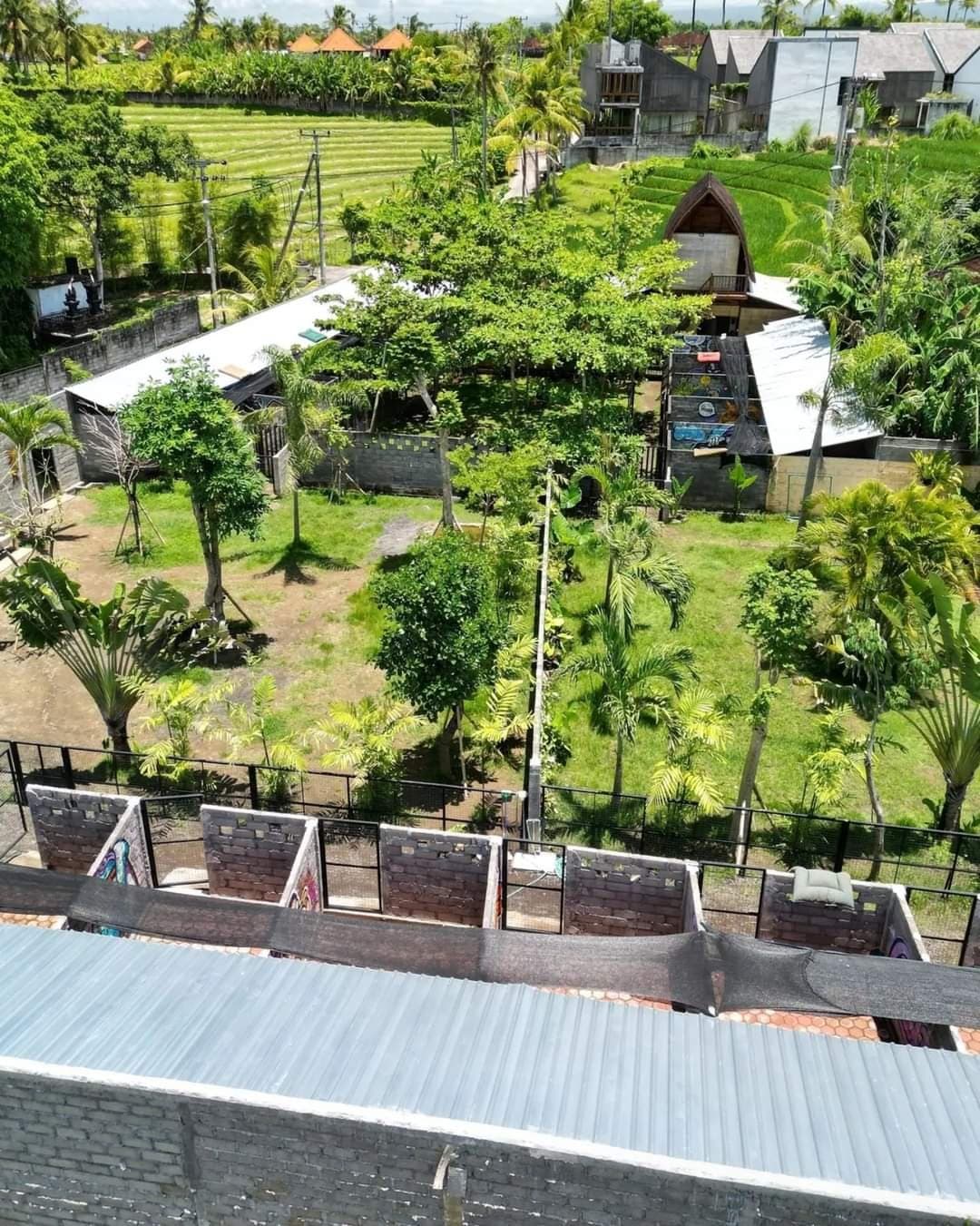 Bali Bully Rescue centre, exterior